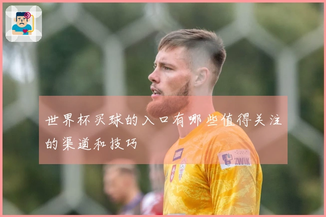 世界杯买球的入口有哪些值得关注的渠道和技巧