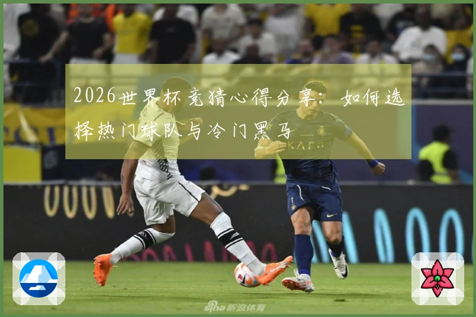 2026世界杯竞猜心得分享：如何选择热门球队与冷门黑马