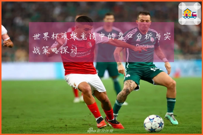 世界杯滚球竞猜中的盘口分析与实战策略探讨