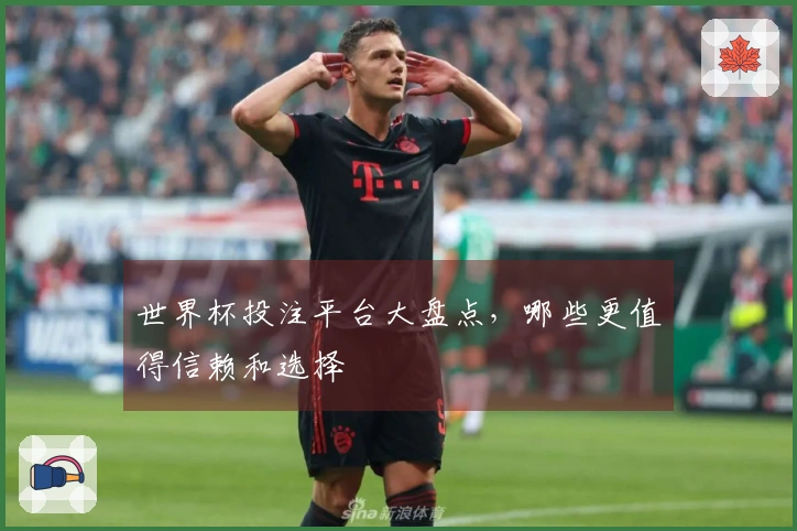 世界杯投注平台大盘点，哪些更值得信赖和选择