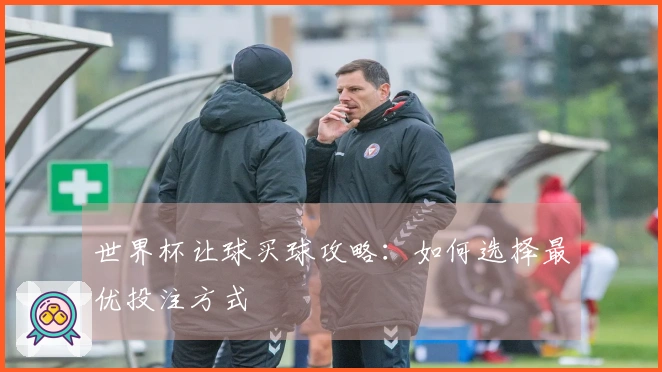 世界杯让球买球攻略：如何选择最优投注方式
