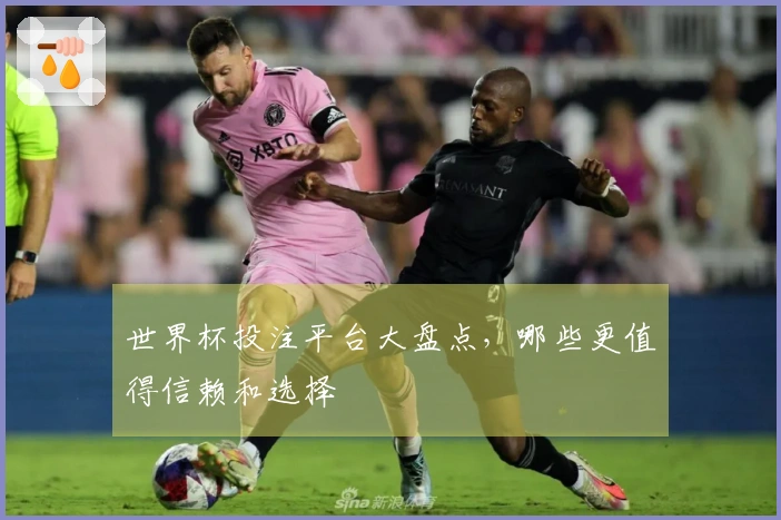 世界杯投注平台大盘点，哪些更值得信赖和选择