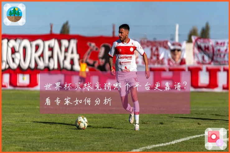 世界杯买球竞猜哪个平台更靠谱？看专家如何分析