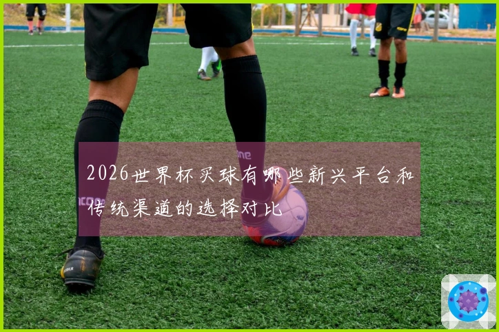 2026世界杯买球有哪些新兴平台和传统渠道的选择对比