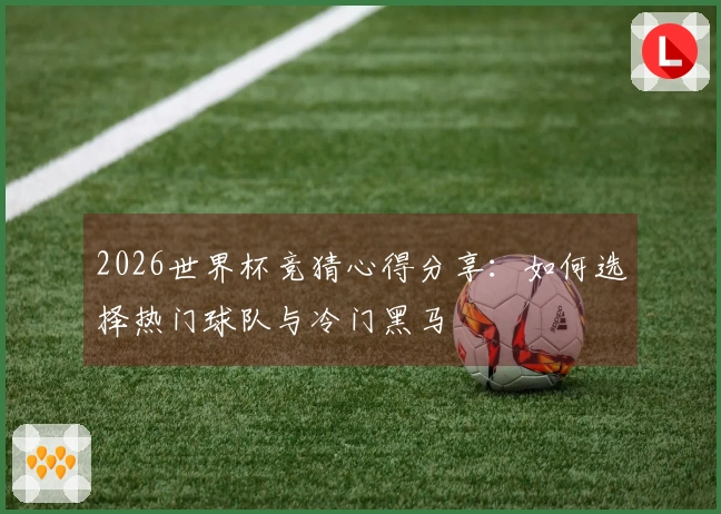 2026世界杯竞猜心得分享：如何选择热门球队与冷门黑马