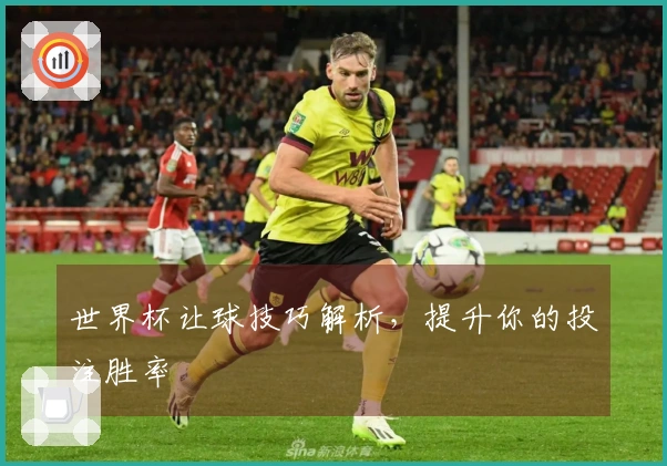 世界杯让球技巧解析，提升你的投注胜率