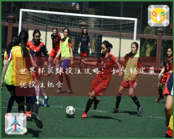 世界杯买球投注攻略：如何锁定最优投注机会